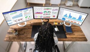 Web Analytic Data SEO