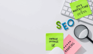 Search Engine Optimization Services